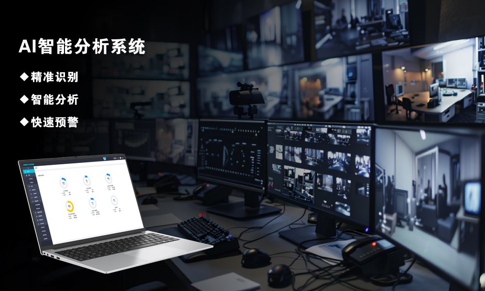AI视频行为分析系统